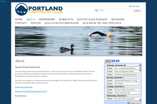 Delicate theme site design template sample