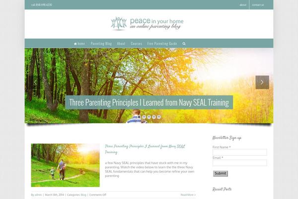 Ion theme site design template sample