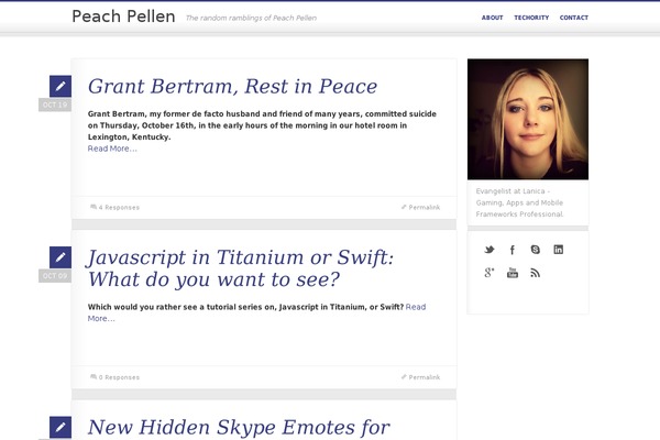 Pixelpower theme site design template sample
