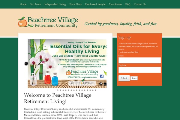 Decor theme site design template sample
