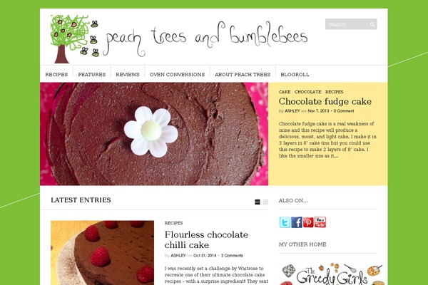 Site using Jamie Social Icons plugin