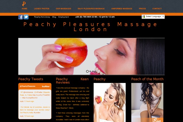 Site using AI Twitter Feeds (Twitter widget & shortcode) plugin