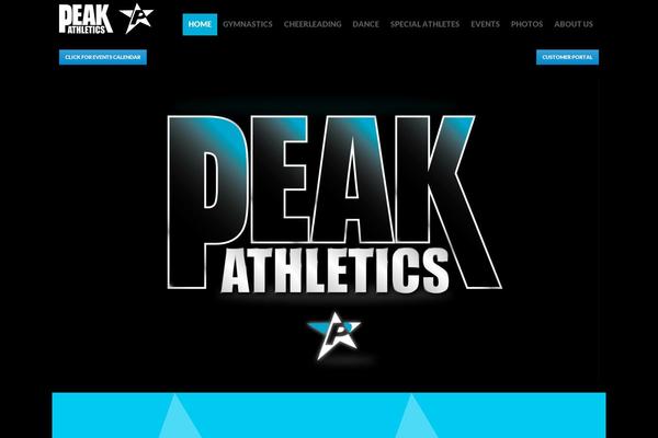 Vertoh theme site design template sample