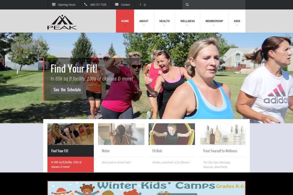 Fit Wp theme site design template sample