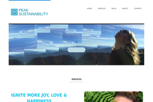 Hustle theme site design template sample