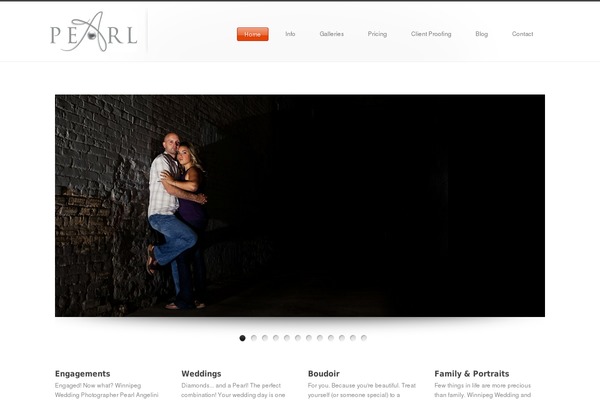 Shotzz theme site design template sample