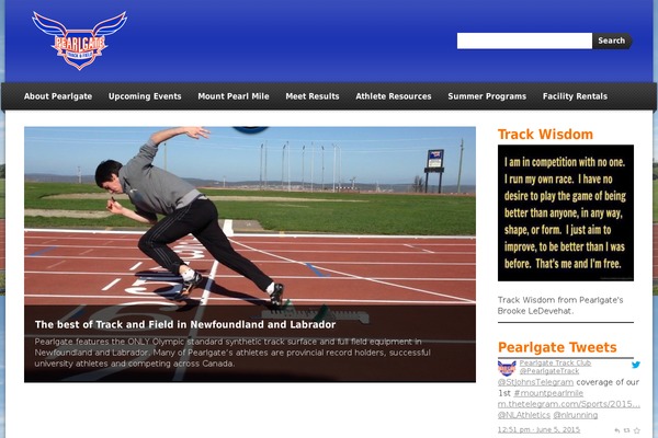 Sports-team-theme theme site design template sample