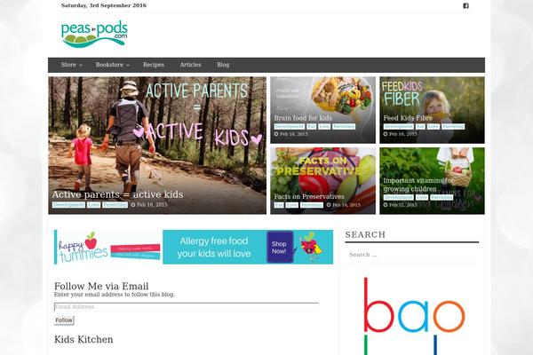 Smart Magazine theme site design template sample