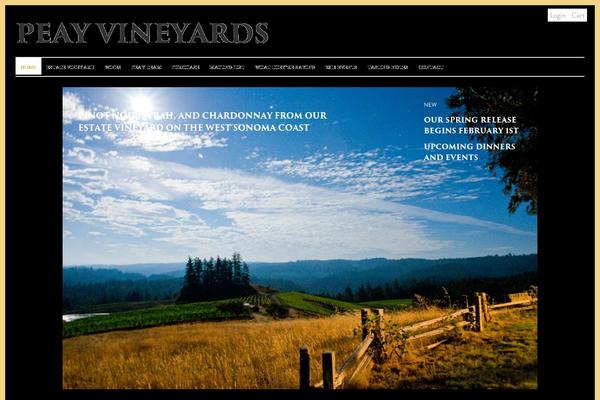 Site using WP jQuery Lightbox plugin