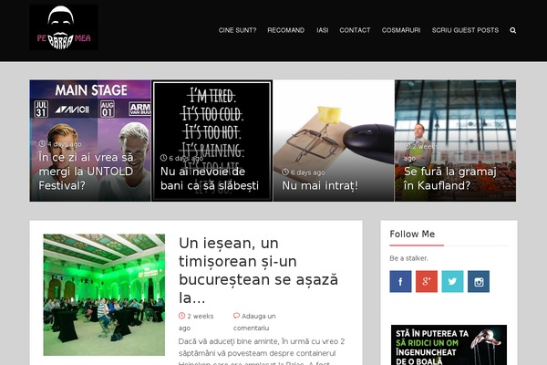 Mag Lite theme site design template sample