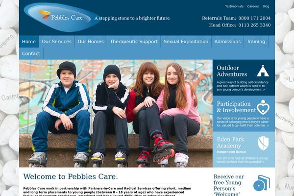 Visions theme site design template sample