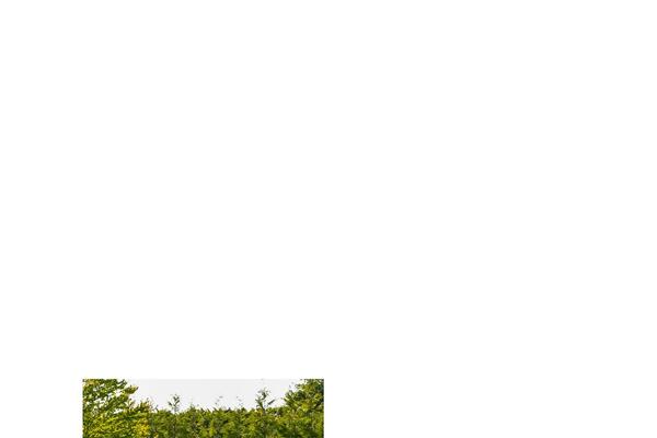 Site using Visual-portfolio plugin