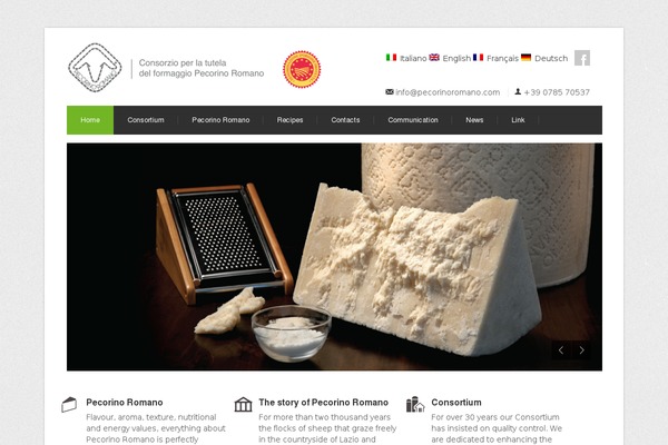 Centum theme site design template sample