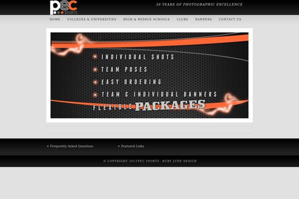 Salient theme site design template sample