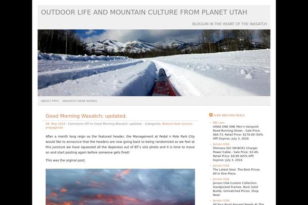 picolight theme site design template sample