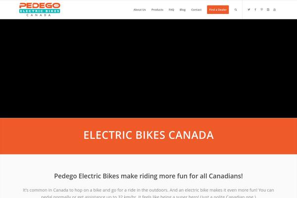 Enfold theme site design template sample