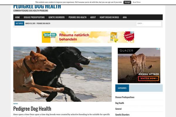 MH Newsdesk theme site design template sample