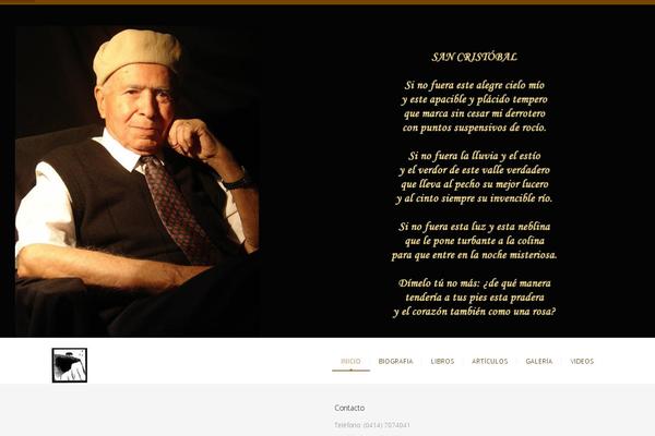 NUVO theme site design template sample
