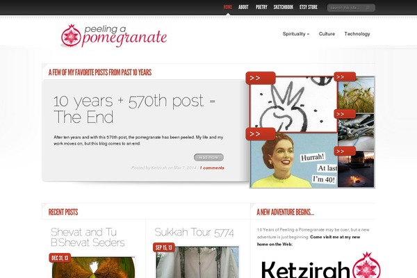 DelicateNews theme site design template sample