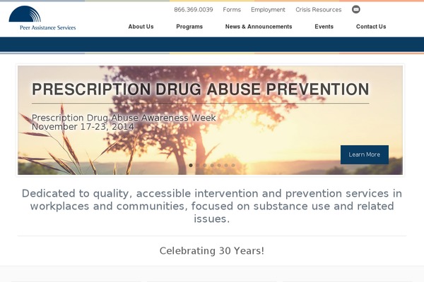 Pas theme site design template sample