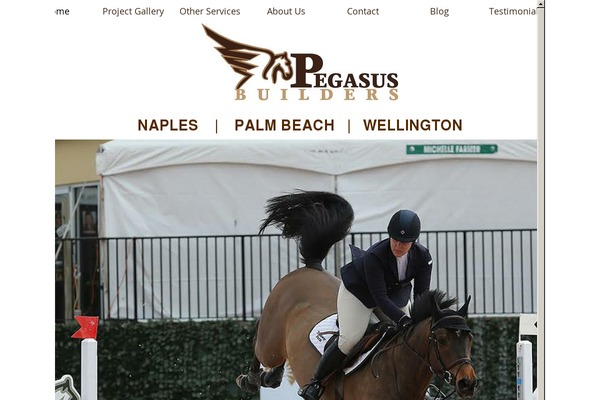 Pegasus theme site design template sample