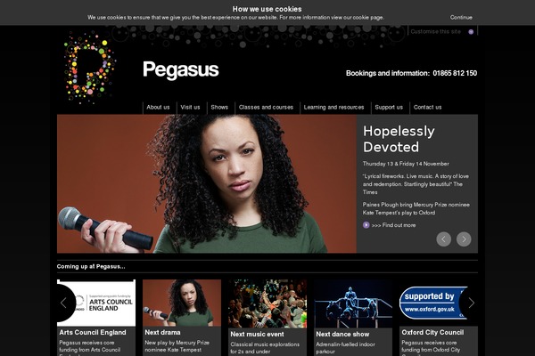 Site using Dp-portfolio-posts-pro plugin