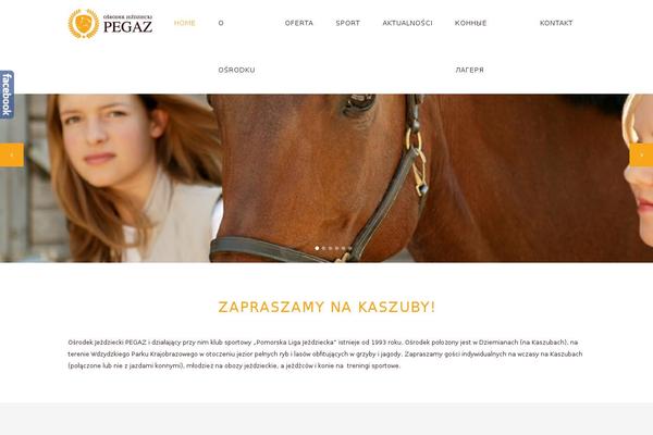 Site using SN Facebook Like plugin