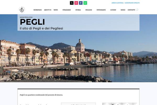Site using Divi-mega-menu plugin