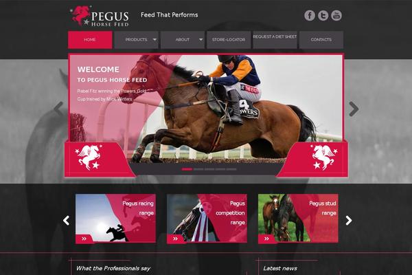 Site using Wp-google-places-review-slider plugin