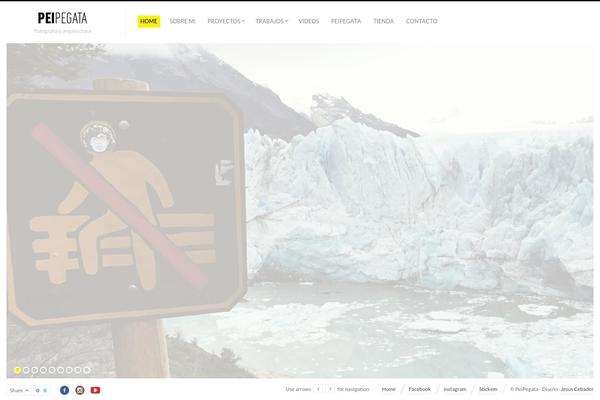 Fluxus theme site design template sample