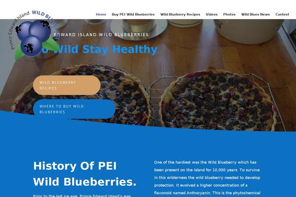 Site using Blog-designer-pro plugin