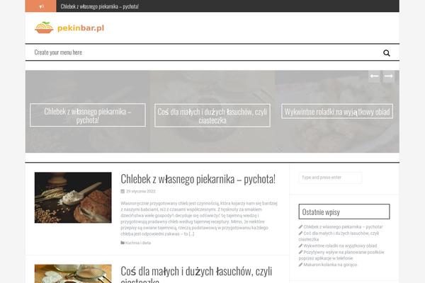 FlyMag theme site design template sample