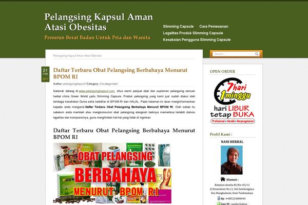 VisitPress theme site design template sample
