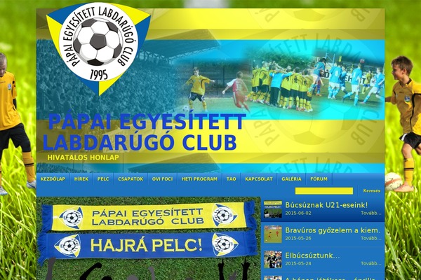 Site using Goodlayers-soccer plugin