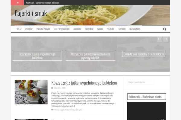 FlyMag theme site design template sample