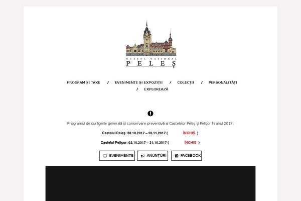 Site using Fluidvids plugin