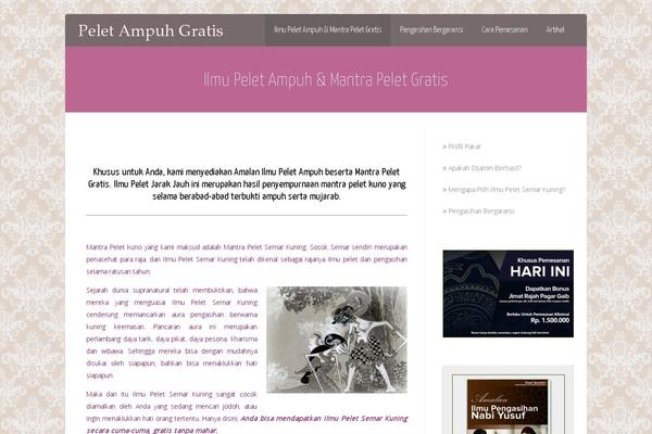 Asteria Lite theme site design template sample