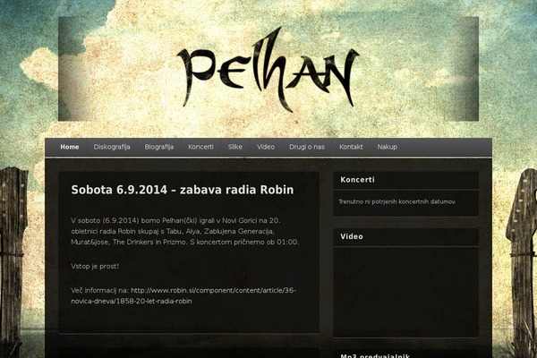 Site using Flash MP3 Player plugin
