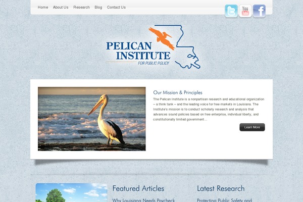 Pi theme site design template sample
