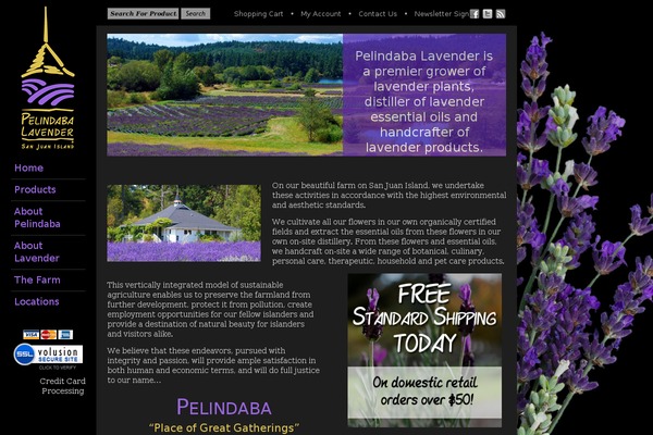 Default theme site design template sample
