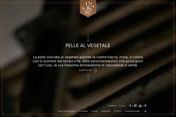 JupiterX theme site design template sample