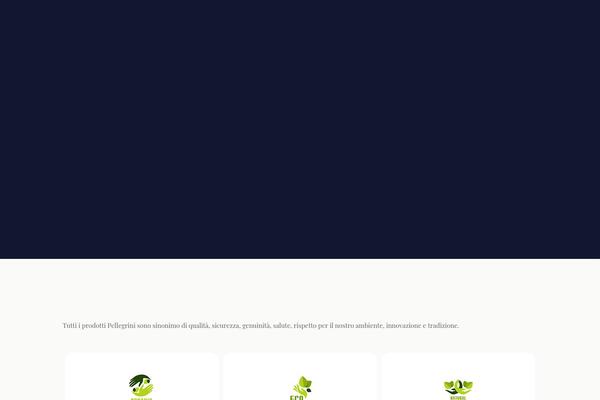 BeTheme Child theme site design template sample