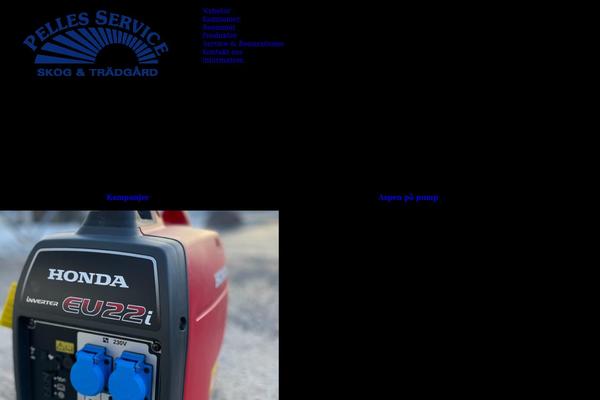 Site using Instagram Widget by WPZOOM plugin