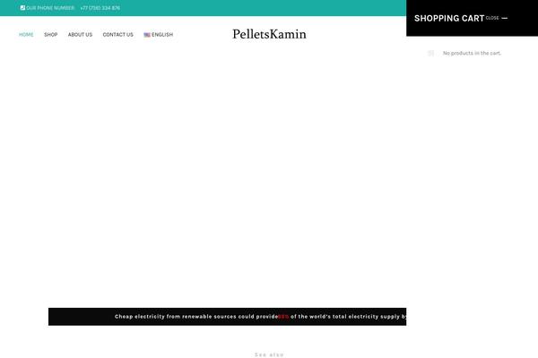 Site using Pay-by-paynow-pl plugin