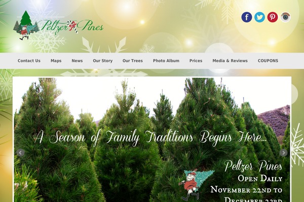 Coller theme site design template sample