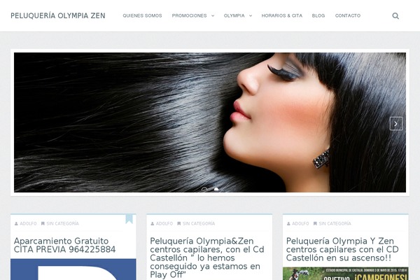 Site using Official-facebook-pixel plugin