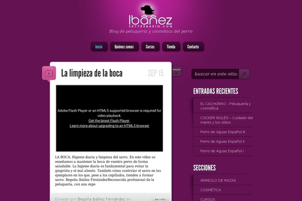 LightBright theme site design template sample