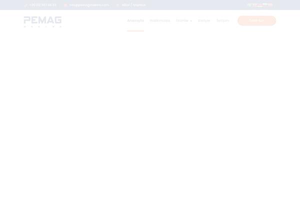 Bauer theme site design template sample