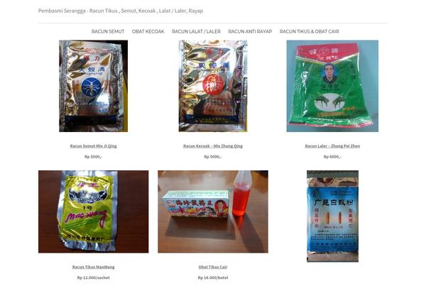 Schon theme site design template sample