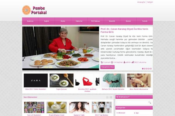 Bayanlar WordPress theme, websites list used Bayanlar theme Bayanlar theme websites examples